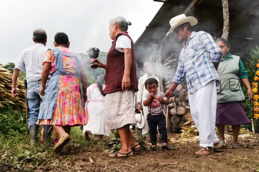 Sierra Norte de Puebla: las comunidades tenemos que avanzar en la autosuficiencia alimentaria; hoy quien produce alimentos está un paso adelante
