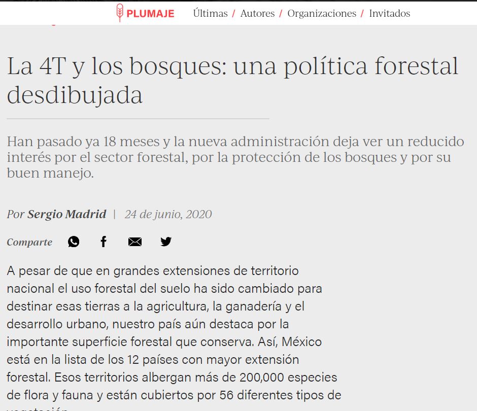 La 4T y los bosques: una pol\u00edtica forestal desdibujada - Consejo Civil Mexicano para la ...