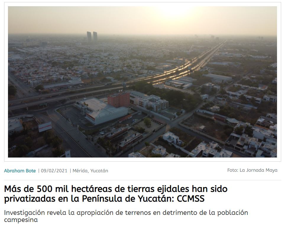 Más de 500 mil hectáreas de tierras ejidales han sido privatizadas en la Península de Yucatán: CCMSS