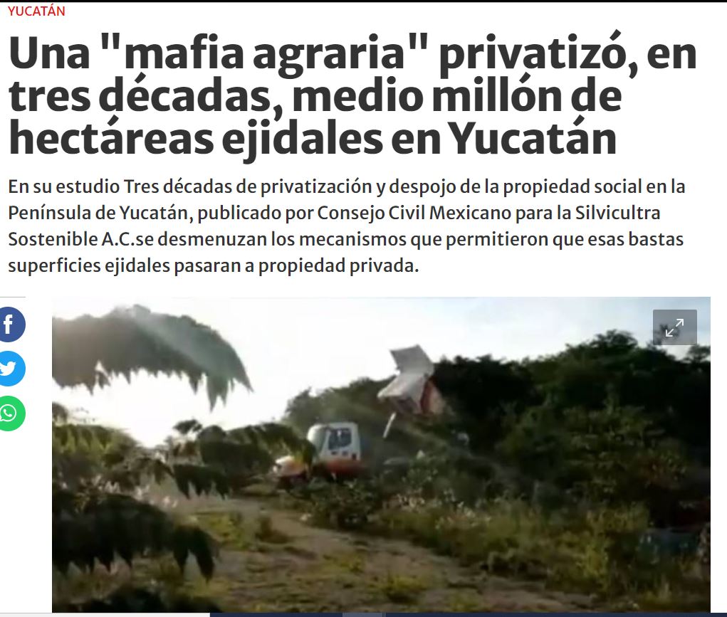 Una “mafia agraria” privatizó, en tres décadas, medio millón de hectáreas ejidales en Yucatán