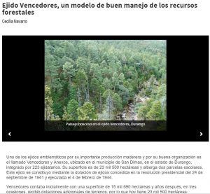 Ejido Vencedores, un modelo de buen manejo de los recursos forestales