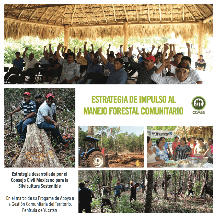 Estrategia de impulso al manejo forestal comunitario en la Península de Yucatán