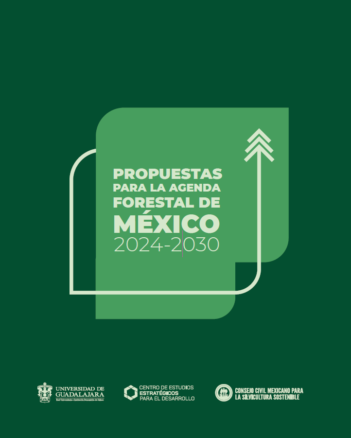 Propuestas para la agenda forestal de México 2024 – 2030