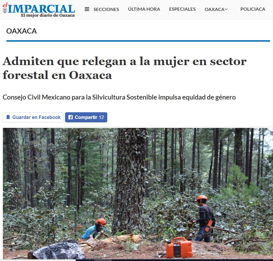 Admiten que relegan a la mujer en sector forestal en Oaxaca