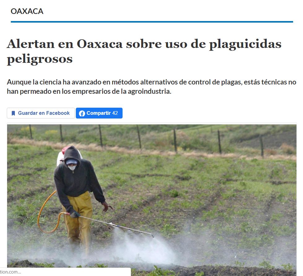 Alertan en Oaxaca sobre uso de plaguicidas peligrosos