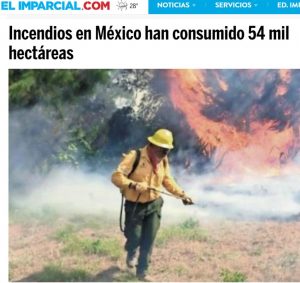 Incendios en México han consumido 54 mil hectáreas