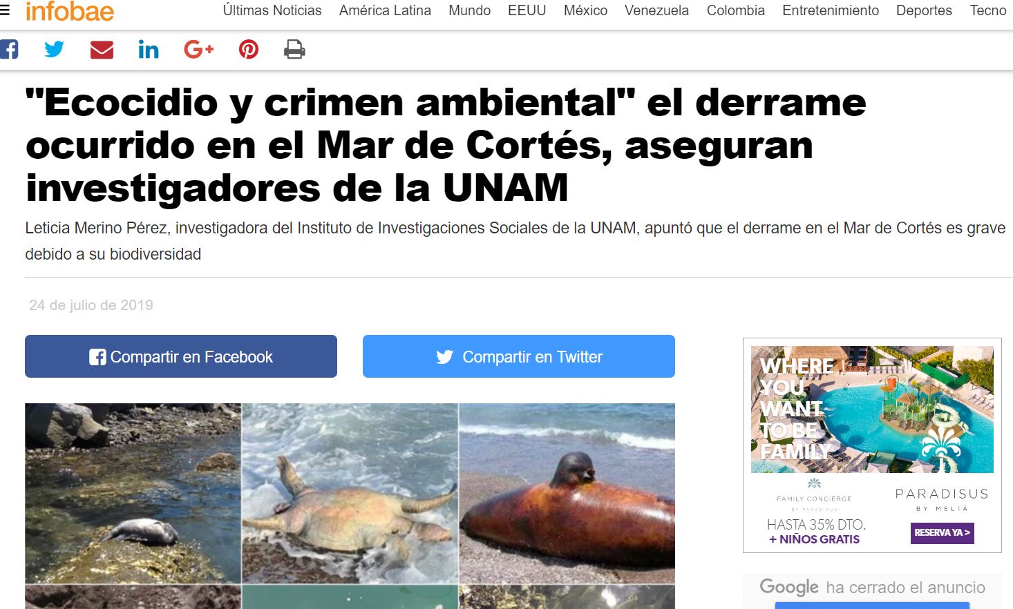 “Ecocidio y crimen ambiental” el derrame ocurrido en el Mar de Cortés, aseguran investigadores de la UNAM
