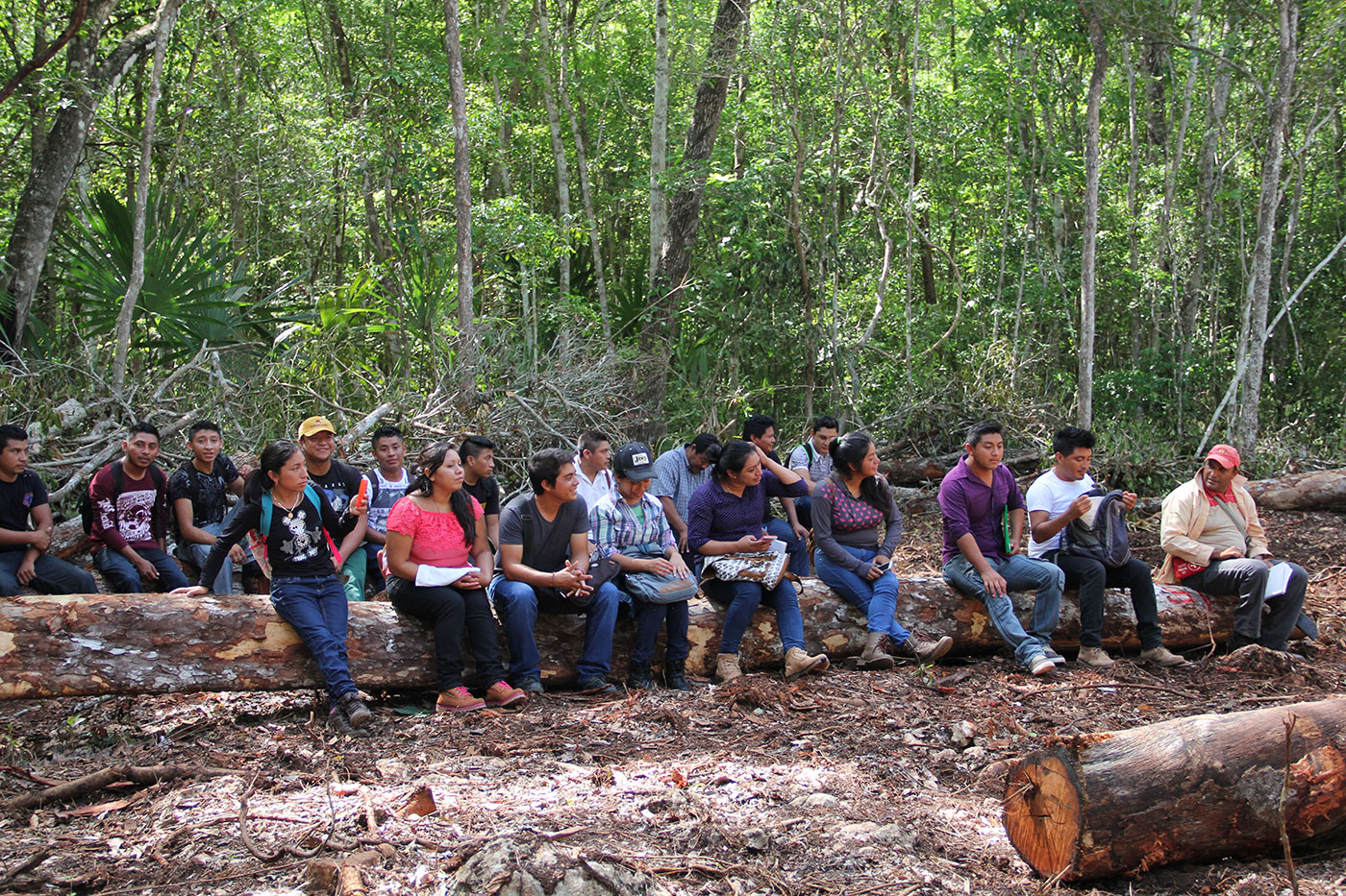 Una plataforma que impulsa a comunidades mayas para el manejo de sus recursos forestales