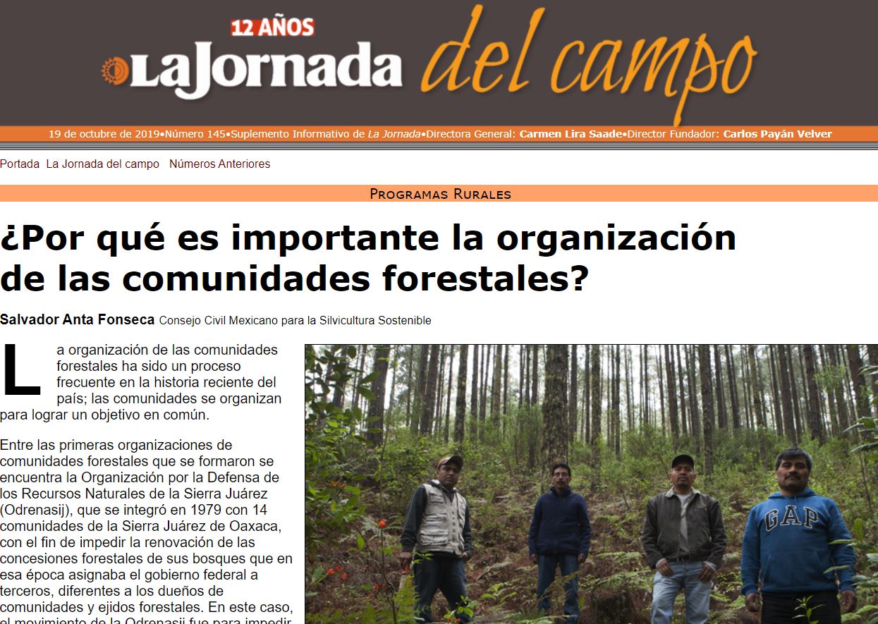 ¿Por qué es importante la organización de las comunidades forestales?