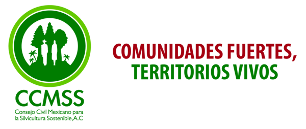 logo_fondo_transparente.png