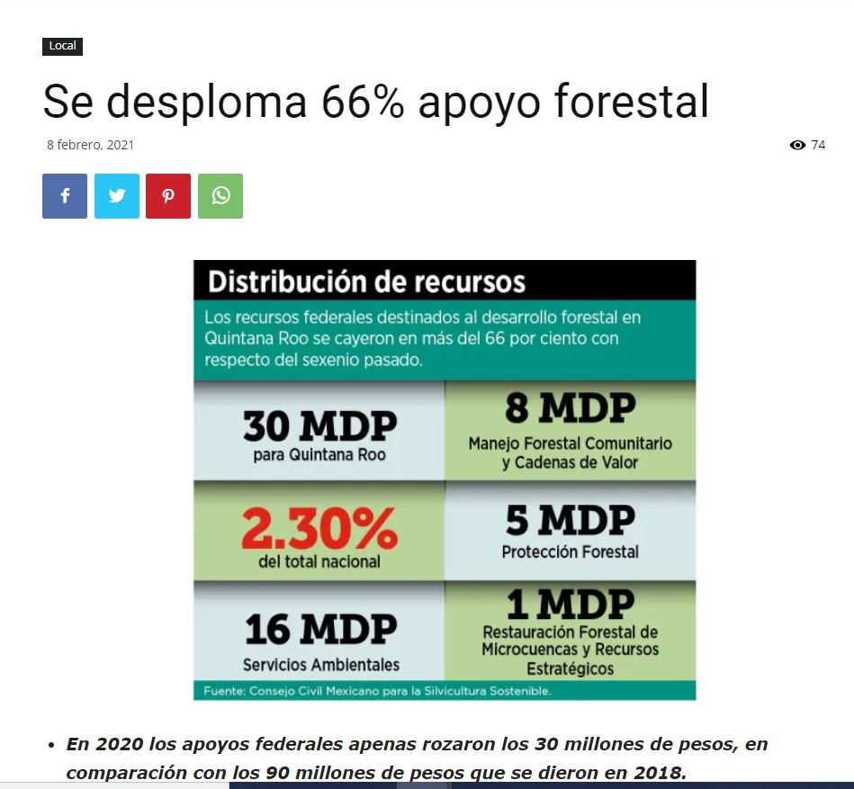 Se desploma 66% apoyo forestal