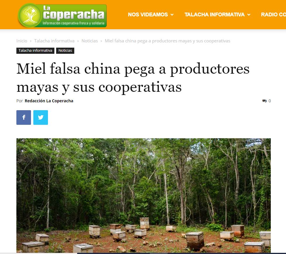 Miel falsa china pega a productores mayas y sus cooperativas