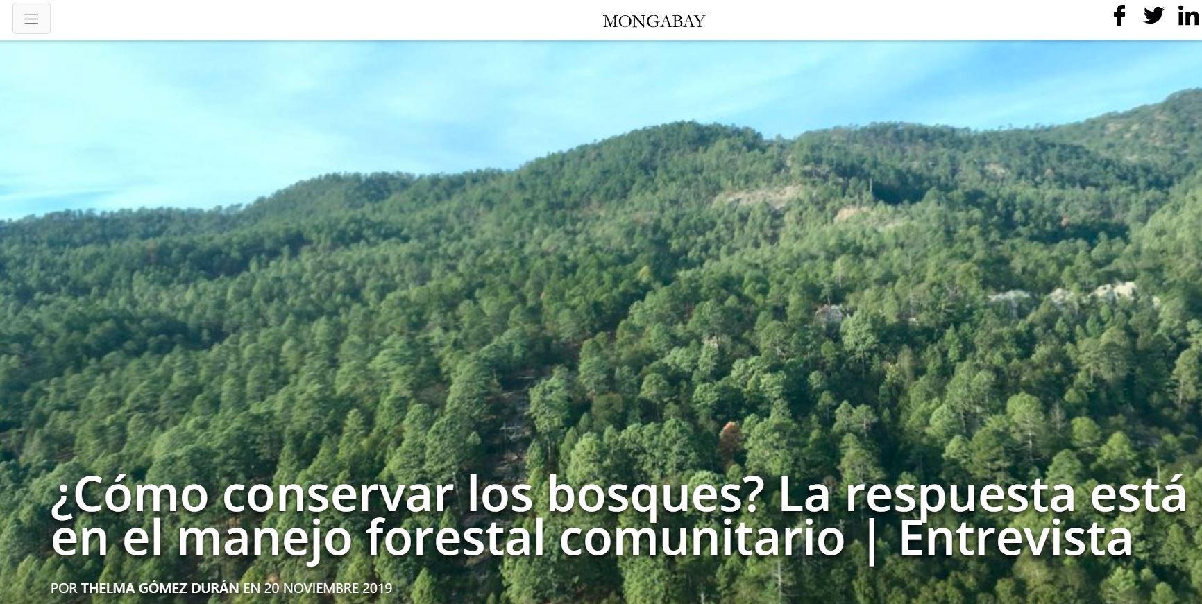 ¿Cómo conservar los bosques? La respuesta está en el manejo forestal comunitario