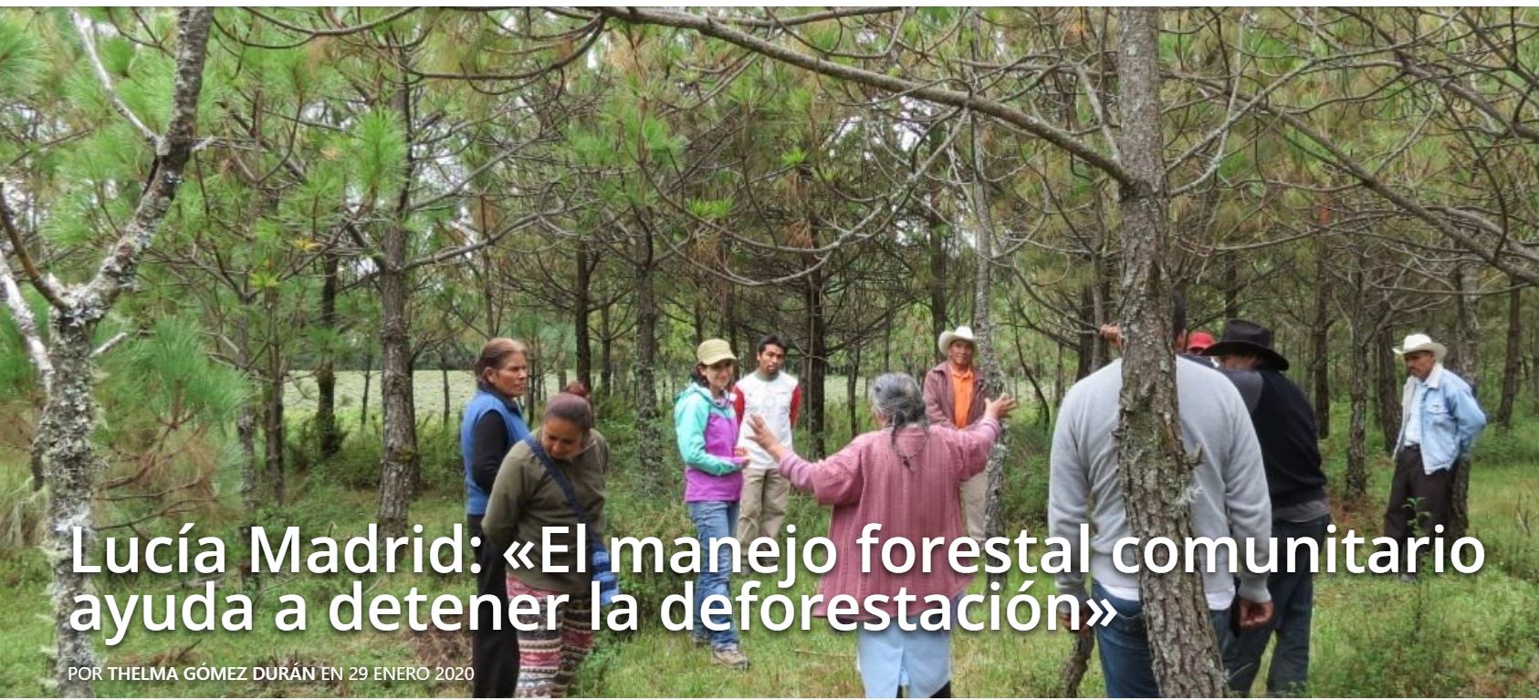 Lucía Madrid: «El manejo forestal comunitario ayuda a detener la deforestación»