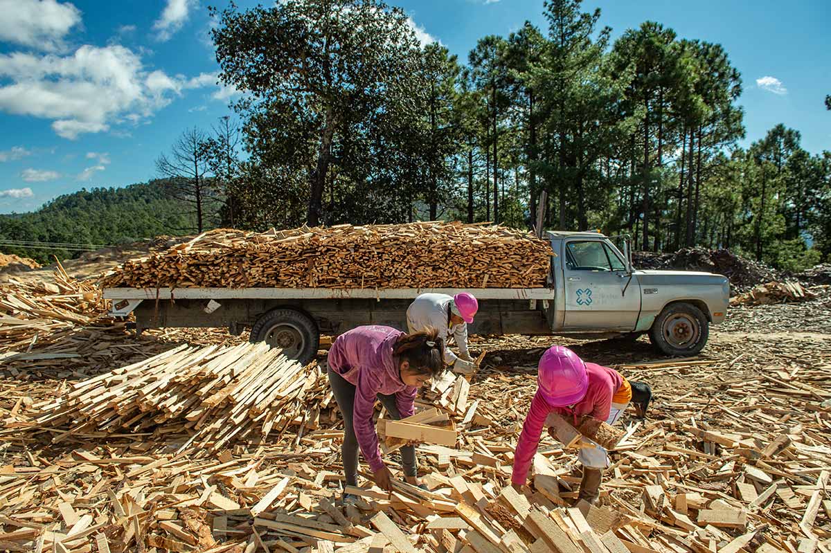 Caborachi: una empresa forestal rarámuri de vanguardia