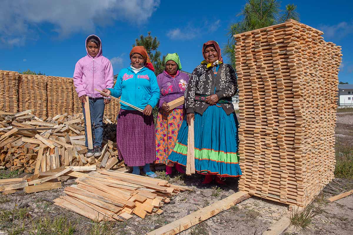 Las ejidatarias de Caborachi se abren paso en las labores productivas de la empresa ejidal forestal