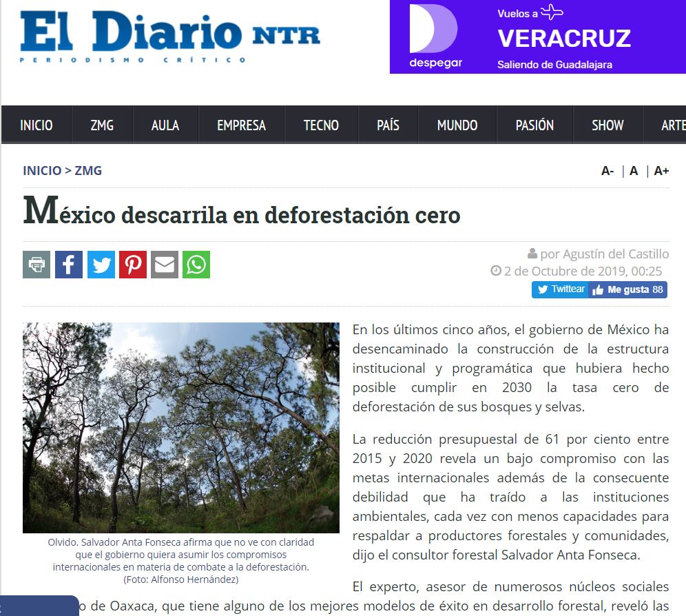 México descarrila en deforestación cero