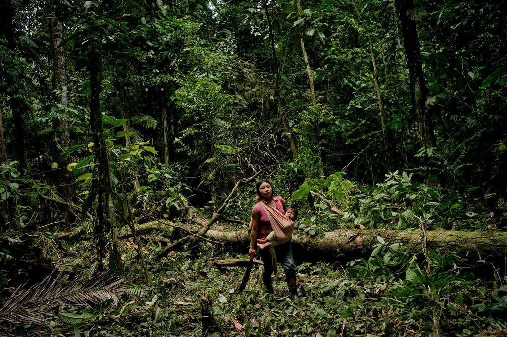 Revalorizar a las comunidades locales y el conocimiento tradicional para la conservación de los bosques tropicales