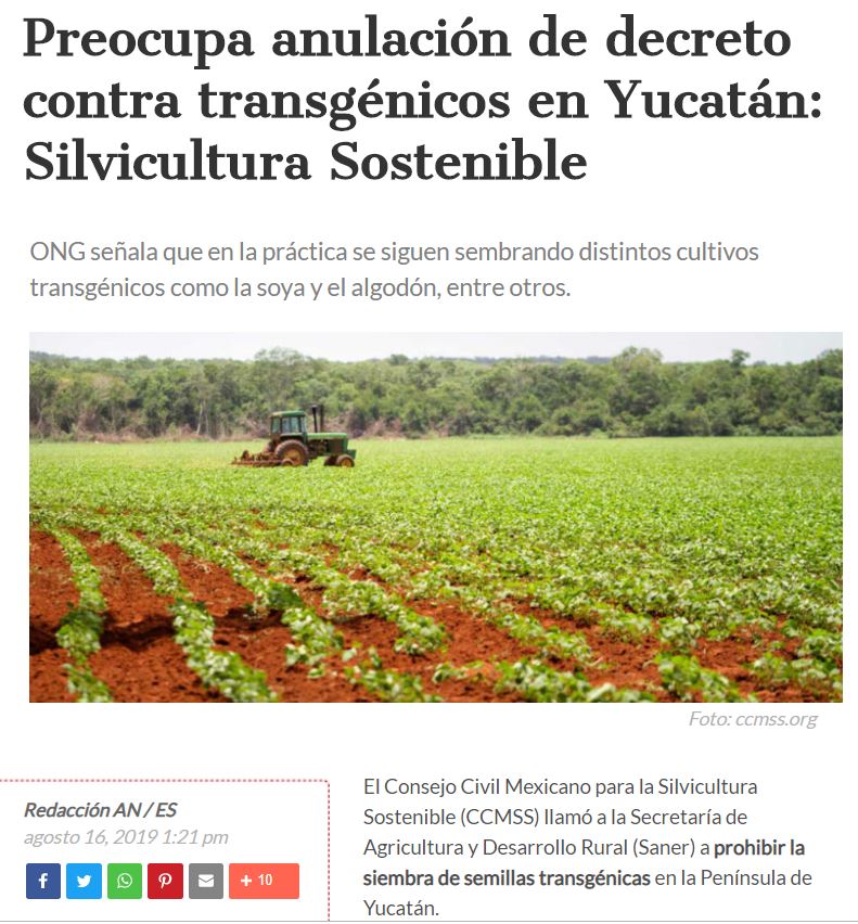 Preocupa anulación de decreto contra transgénicos en Yucatán: Silvicultura Sostenible