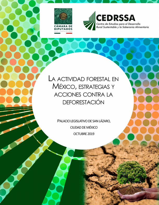 La Actividad forestal en México, estrategias y acciones contra la deforestación