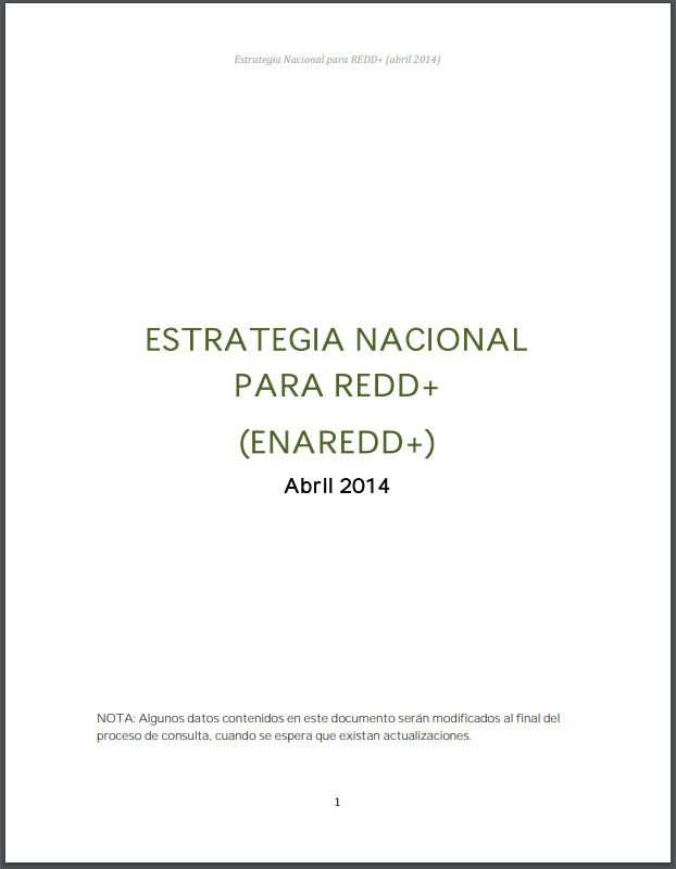 Estrategia Nacional para REDD+ 2013 (ENAREDD+ 2013)