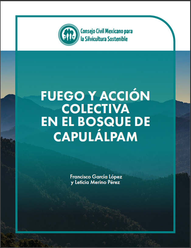 Fuego y acción colectiva en el bosque de Capulálpam