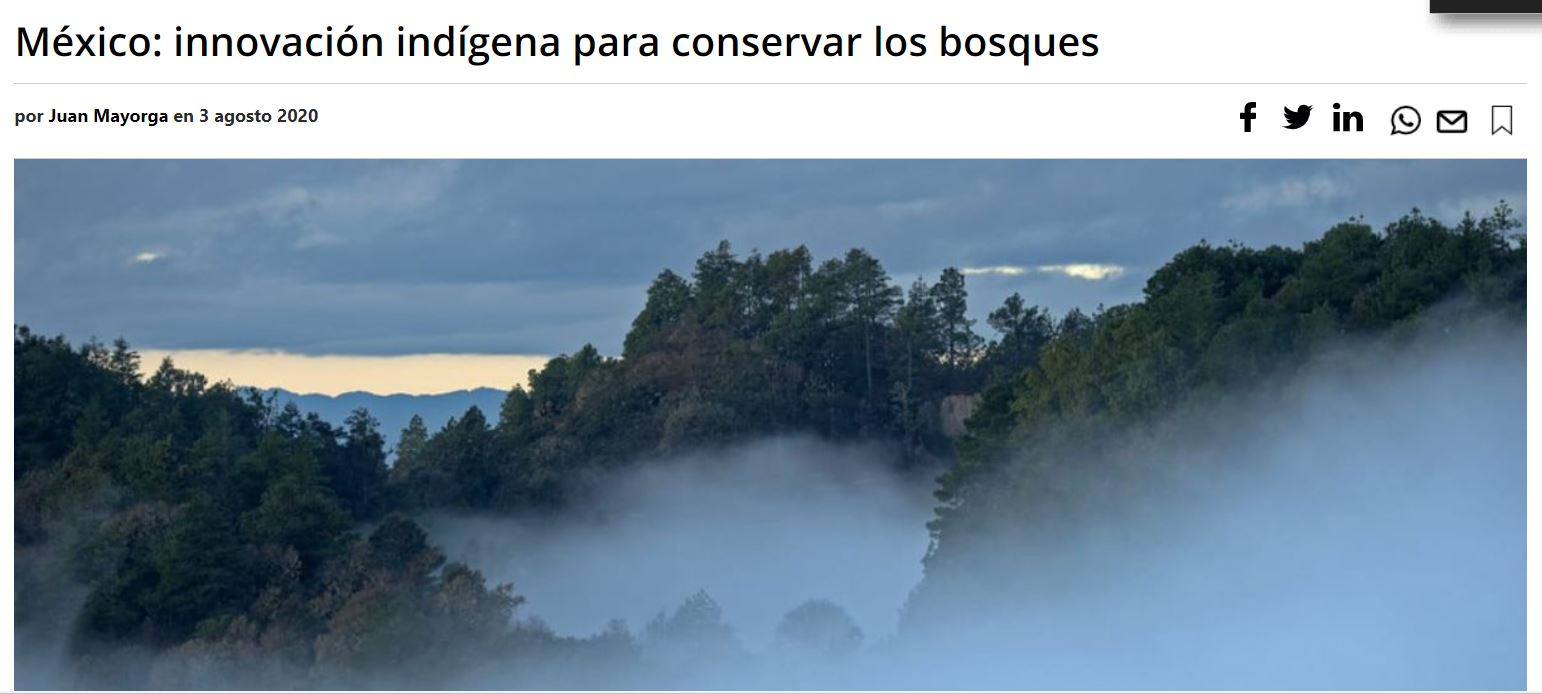 México: innovación indígena para conservar los bosques