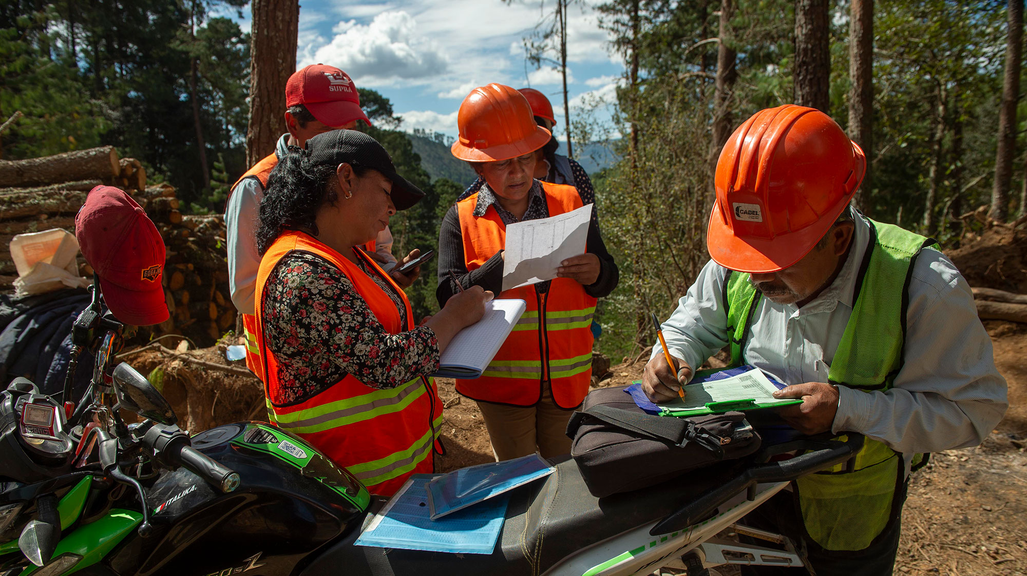 5 propuestas para hacer más eficiente la  tramitología forestal