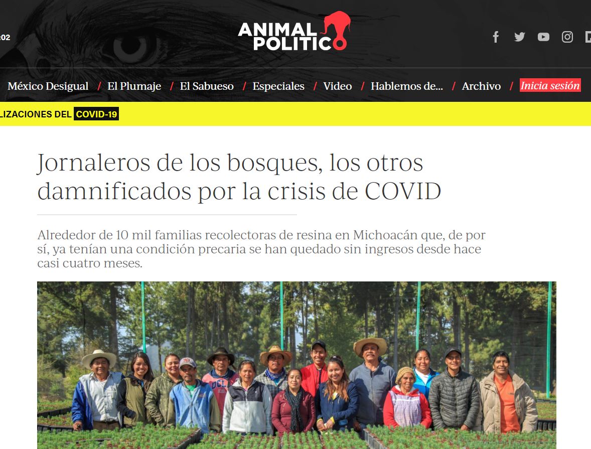 Jornaleros de los bosques, los otros damnificados por la crisis de COVID