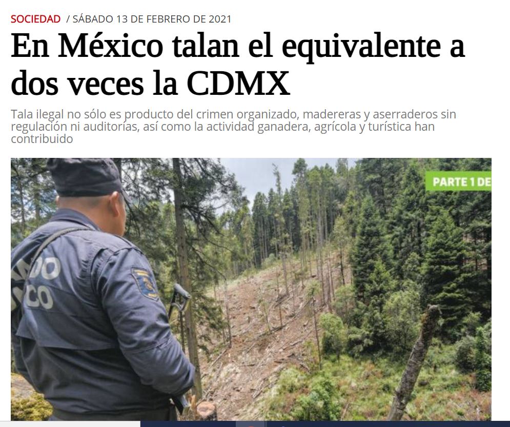 En México talan el equivalente a dos veces la CDMX