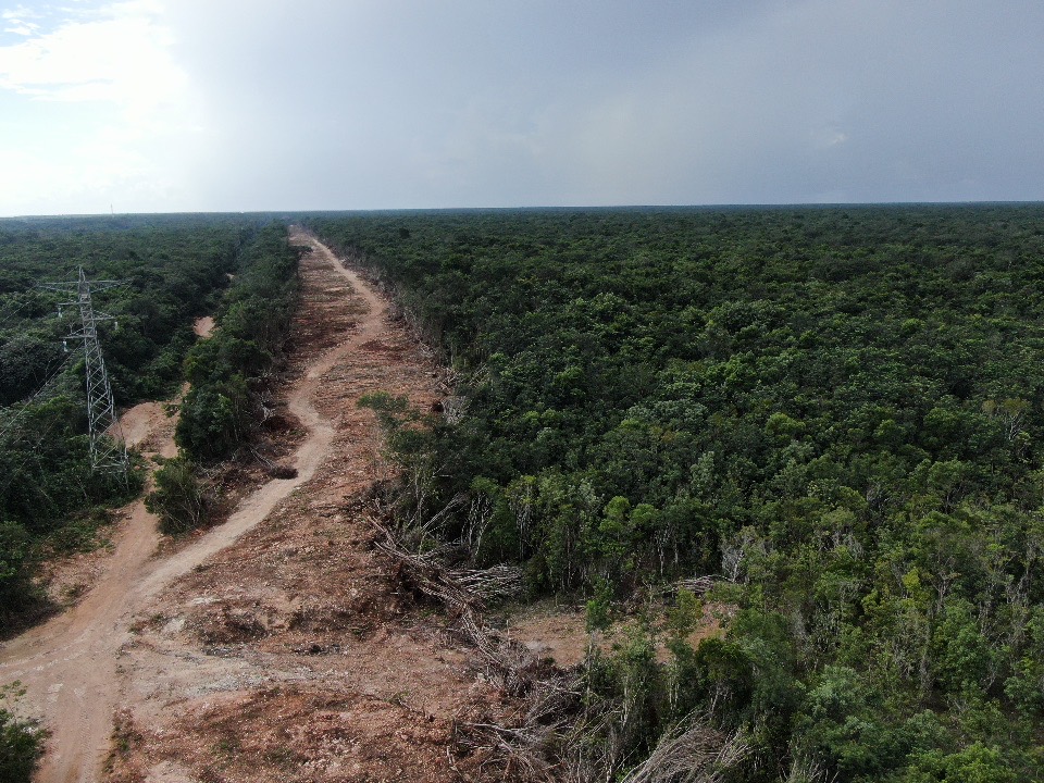 Desestiman gobierno y Poder Judicial violaciones de derechos humanos y afectaciones ambientales del Tren Maya