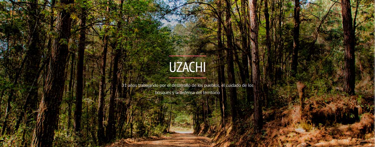UZACHI, 31 años trabajando por el desarrollo de los pueblos, el cuidado del bosque y la defensa del territorio