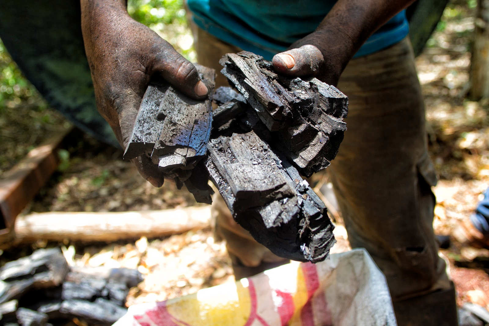 En medio de la selva maya, un grupo de campesinos dedican su vida a la producción de carbón ecológico